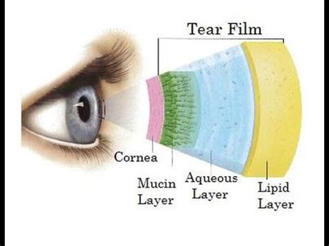 normal tear film